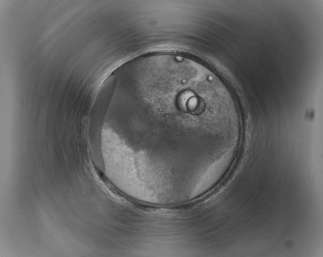 X0000115091329200911171208