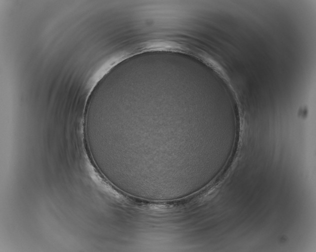 X0000115091330200911171208