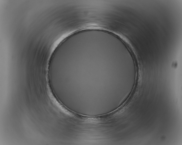 X0000115091333200911171208