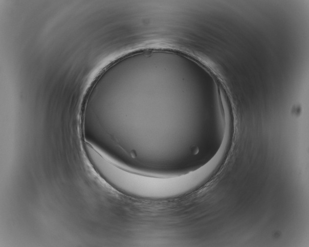 X0000115091334200911171208