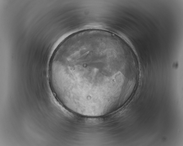 X0000115091339200911171208