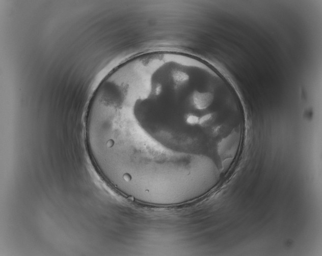 X0000115091341200911171208