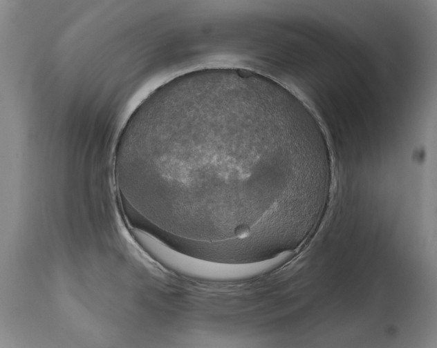 X0000115091342200911171208