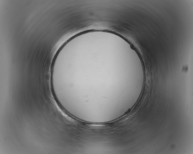 X0000115091343200911171208