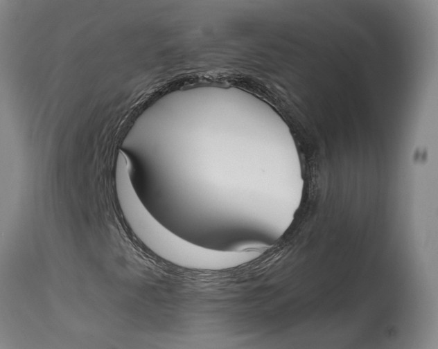 X0000115091345200911171208
