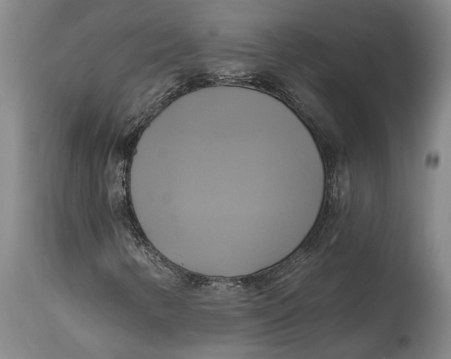 X0000115091346200911171208