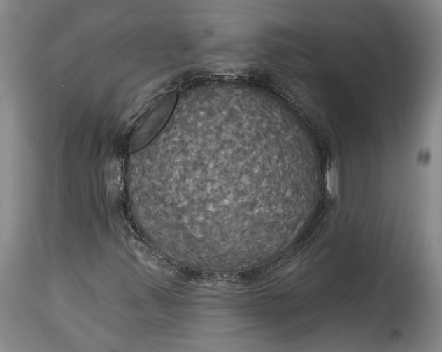 X0000115091347200911171208
