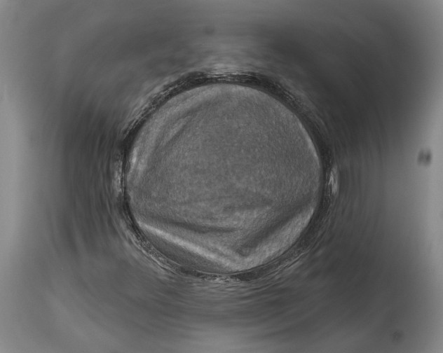 X0000115091348200911171208