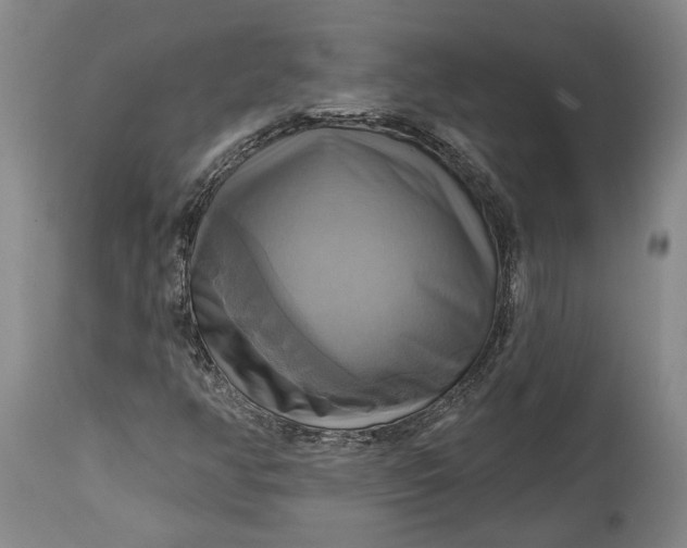X0000115091350200911171208