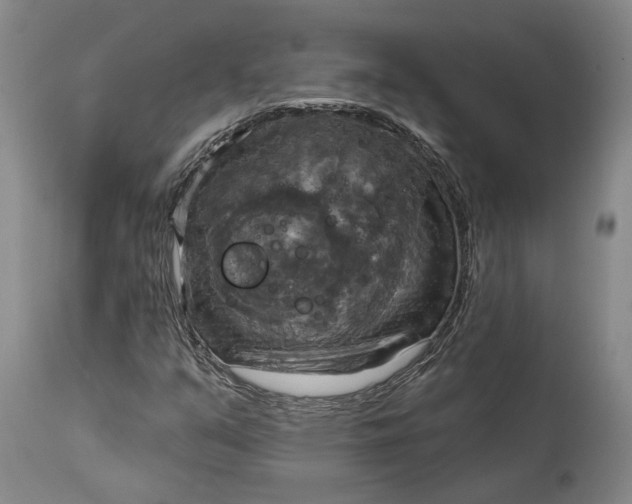 X0000115091351200911171208