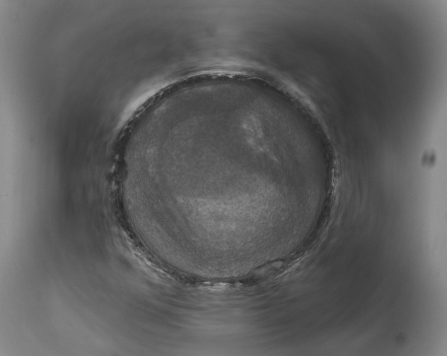 X0000115091352200911171208