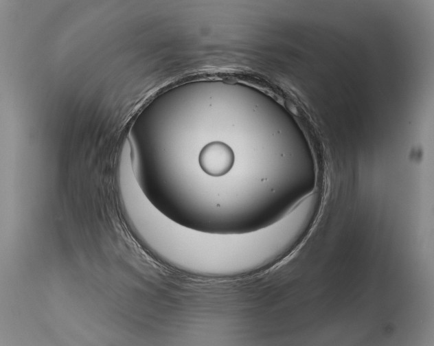 X0000115091353200911171208