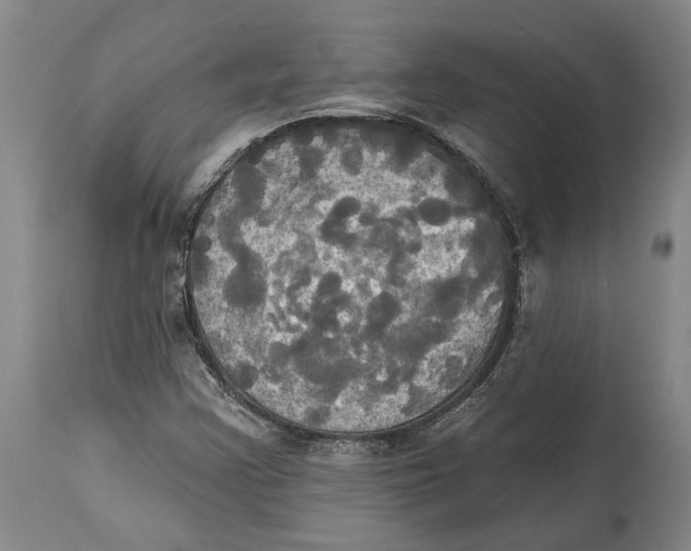 X0000115091355200911171208
