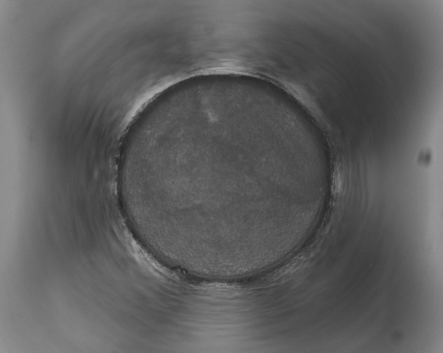 X0000115091356200911171208