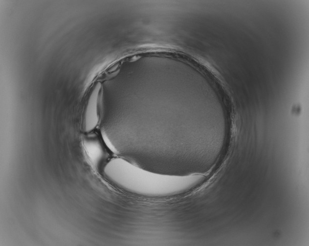 X0000115091357200911171208