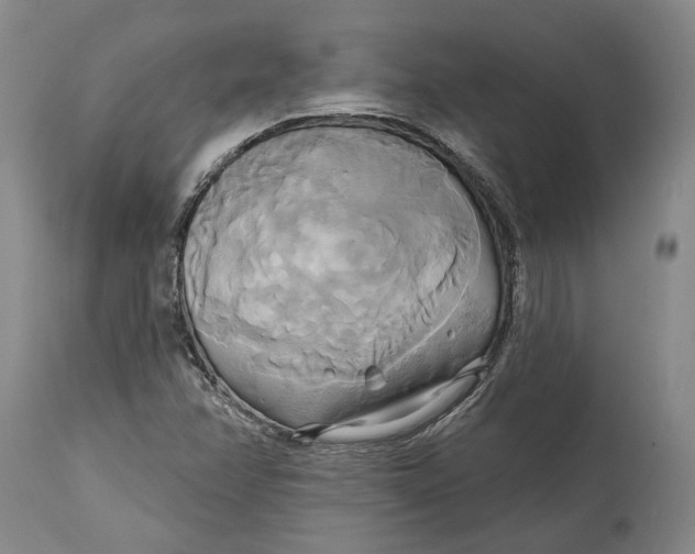 X0000115091358200911171208