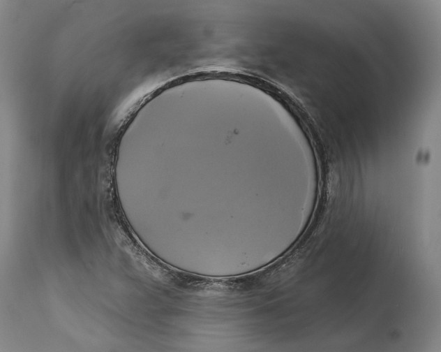 X0000115091359200911171208