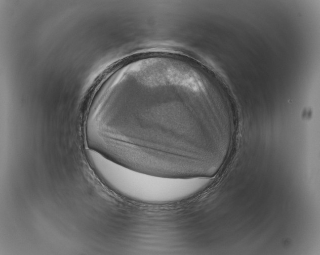 X0000115091360200911171207