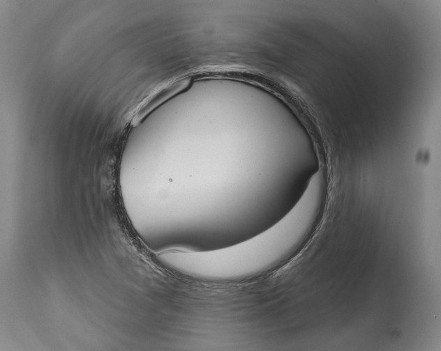 X0000115091361200911171207