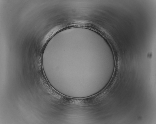 X0000115091362200911171207