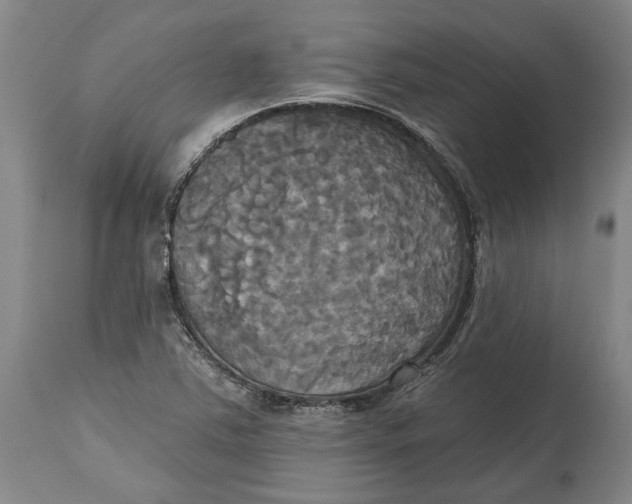 X0000115091363200911171207