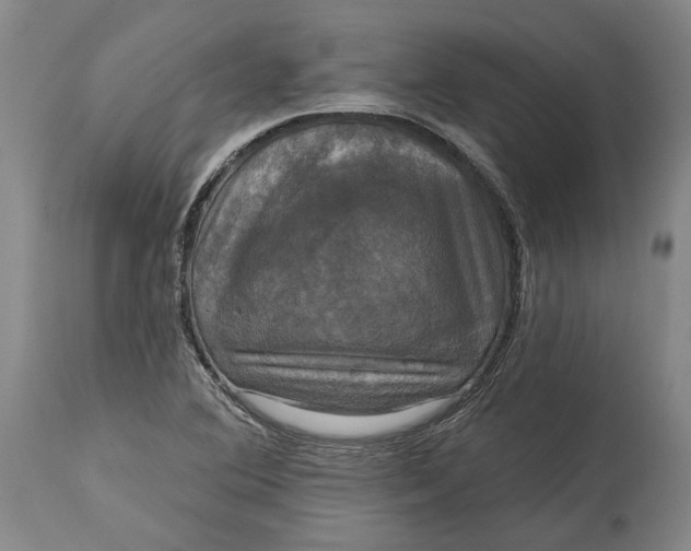 X0000115091364200911171207