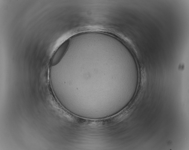 X0000115091365200911171207