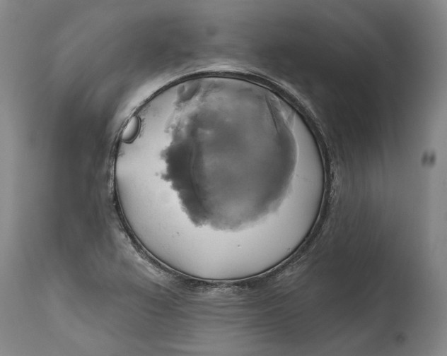 X0000115091367200911171207