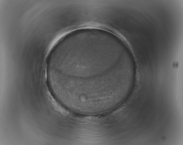 X0000115091368200911171207