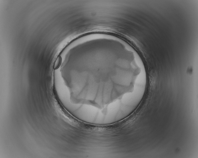 X0000115091371200911171207