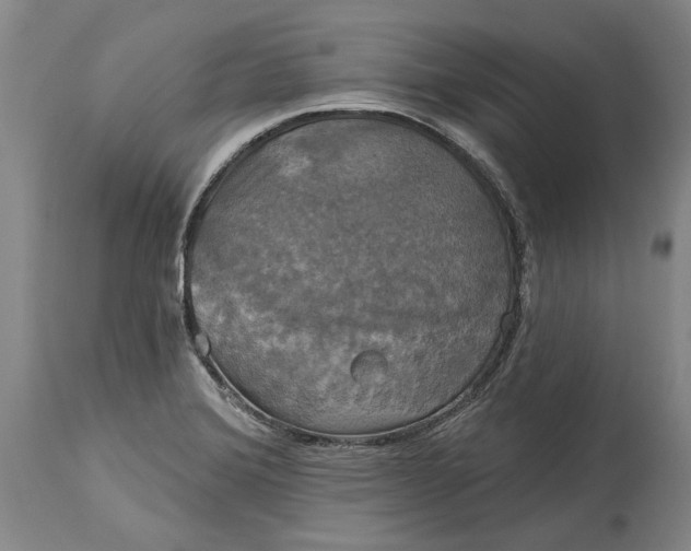 X0000115091372200911171207