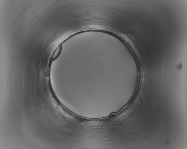 X0000115091373200911171207