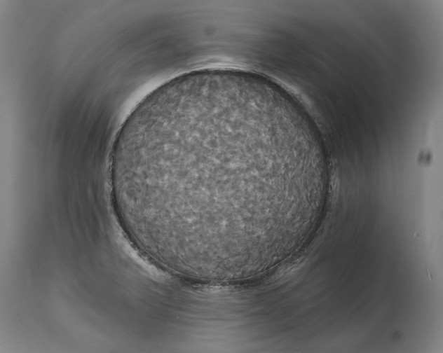 X0000115091375200911171207