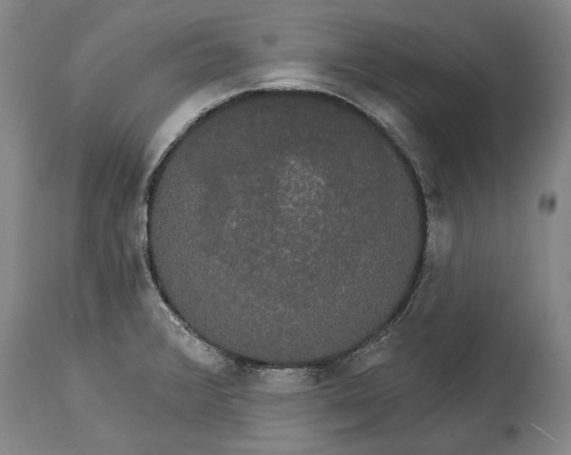 X0000115091376200911171207