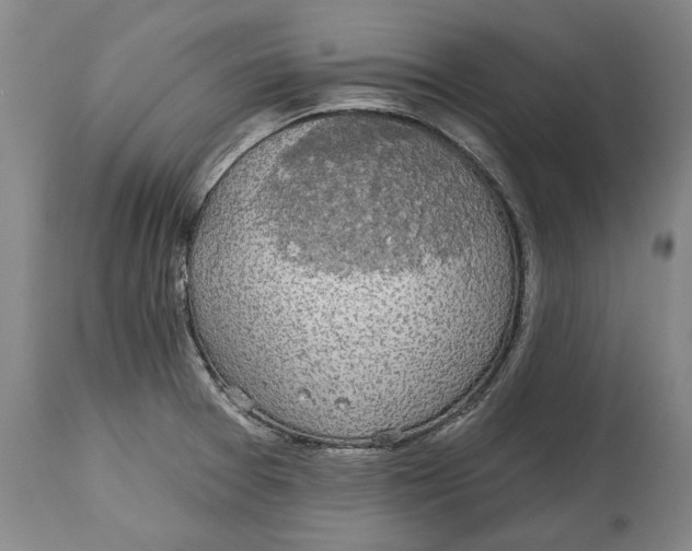 X0000115091377200911171207