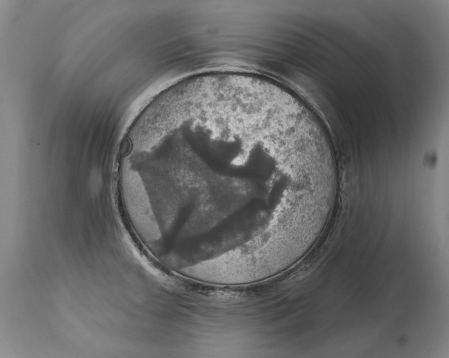 X0000115091379200911171207