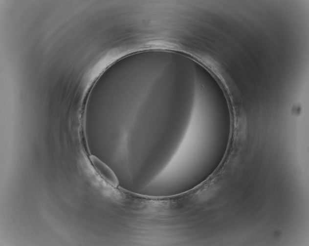 X0000115091381200911171207