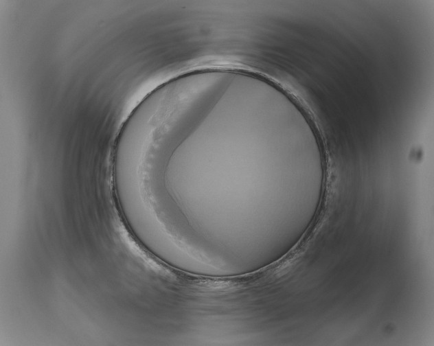 X0000115091382200911171207