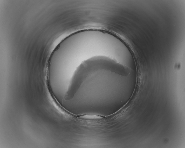 X0000115091383200911171207