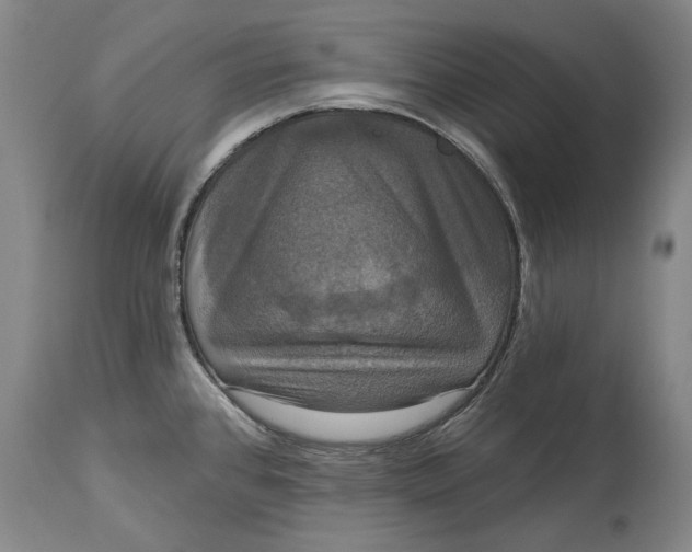 X0000115091384200911171207