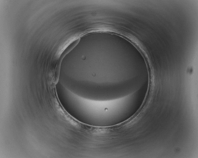 X0000115091385200911171207