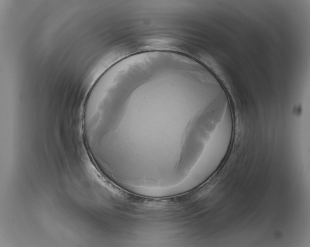 X0000115091386200911171207