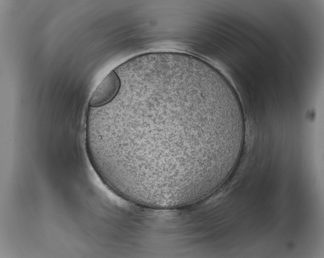 X0000115091387200911171207