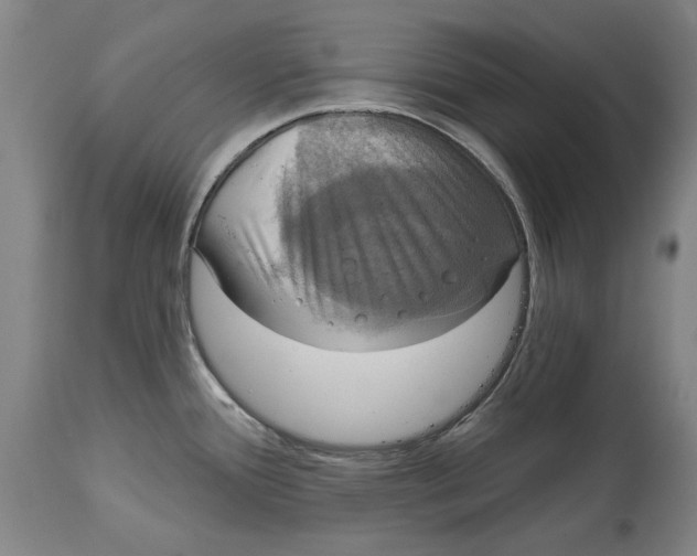 X0000115091388200911171207