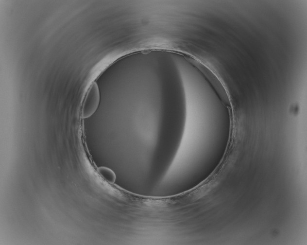 X0000115091389200911171207