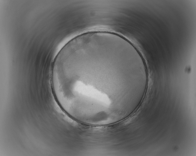 X0000115091390200911171207