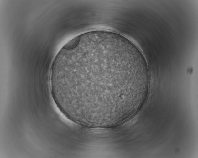 X0000115091391200911171207