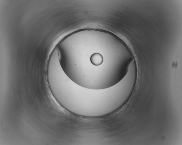 X0000115091392200911171207