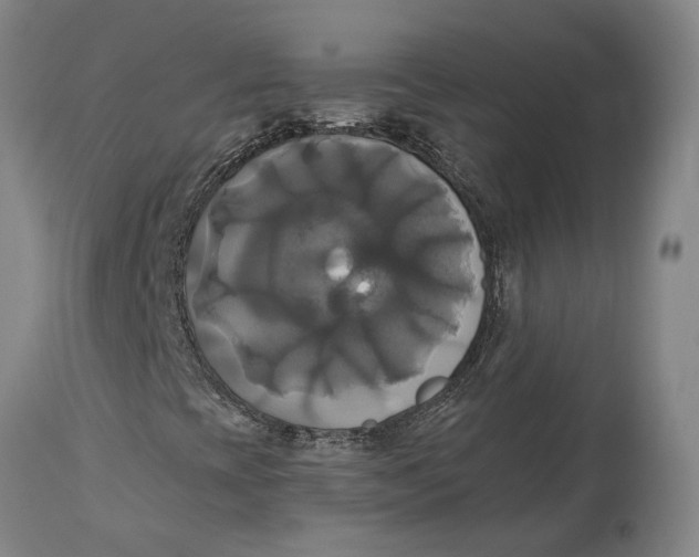 X0000115091393200911171206