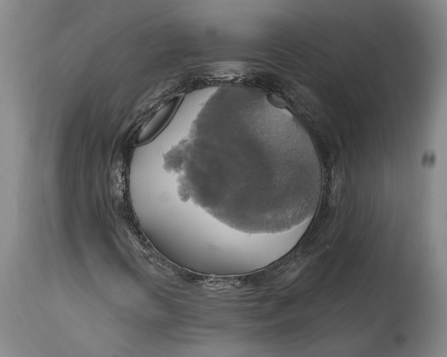 X0000115091394200911171206